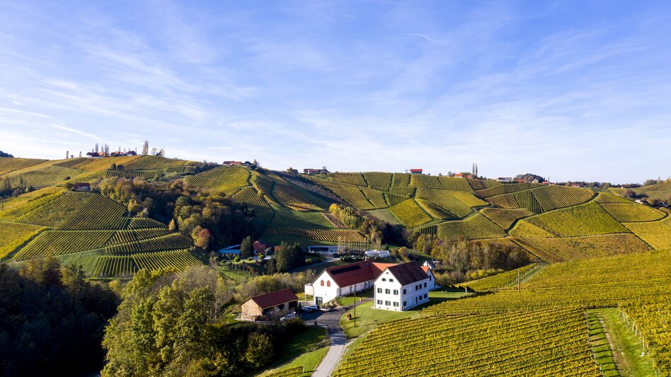 South Styria, Sernauberg/Gamlitz | © Steiermark Tourismus | Tom Lamm