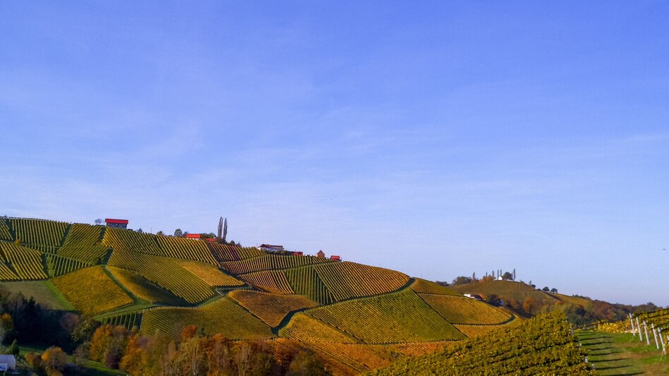 The Wine Cycle Tour, Gamlitz | © Steiermark Tourismus | Martina Haselwander