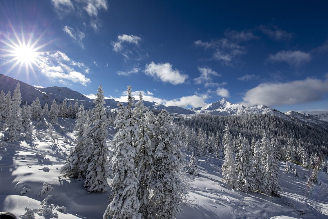 Winterlandschaft auf der Planneralm | © STG | Tom Lamm