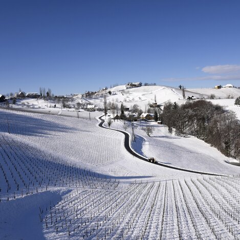 Südsteirisches Weinland im Winterkleid | © STG | Gery Wolf