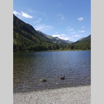 Am Ingeringsee, in der Gaal nahe Seckau | © STG | Veronika Jeitler-Trummer