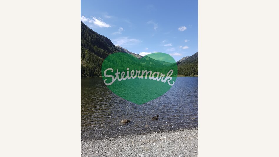 Am Ingeringsee, in der Gaal nahe Seckau | © STG | Veronika Jeitler-Trummer