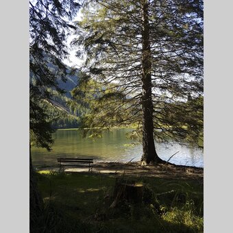 Am Ingeringsee, in der Gaal nahe Seckau | © STG | Veronika Jeitler-Trummer