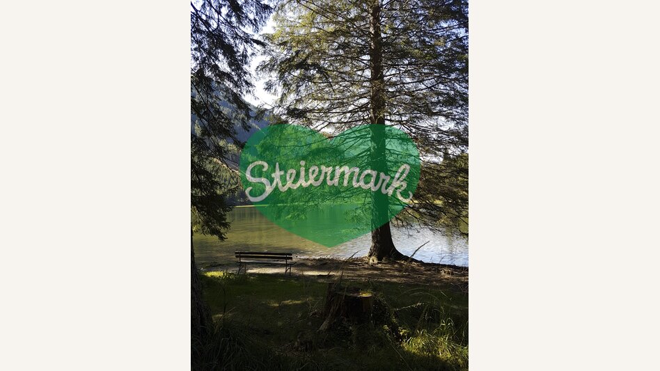 Am Ingeringsee, in der Gaal nahe Seckau | © STG | Veronika Jeitler-Trummer