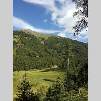 Am Ingeringsee, in der Gaal nahe Seckau | © STG | Veronika Jeitler-Trummer