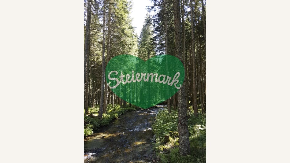 Am Ingeringsee, in der Gaal nahe Seckau | © STG | Veronika Jeitler-Trummer