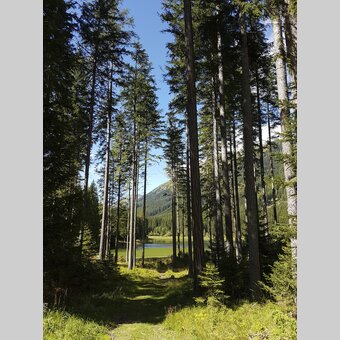 Am Ingeringsee, in der Gaal nahe Seckau | © STG | Veronika Jeitler-Trummer