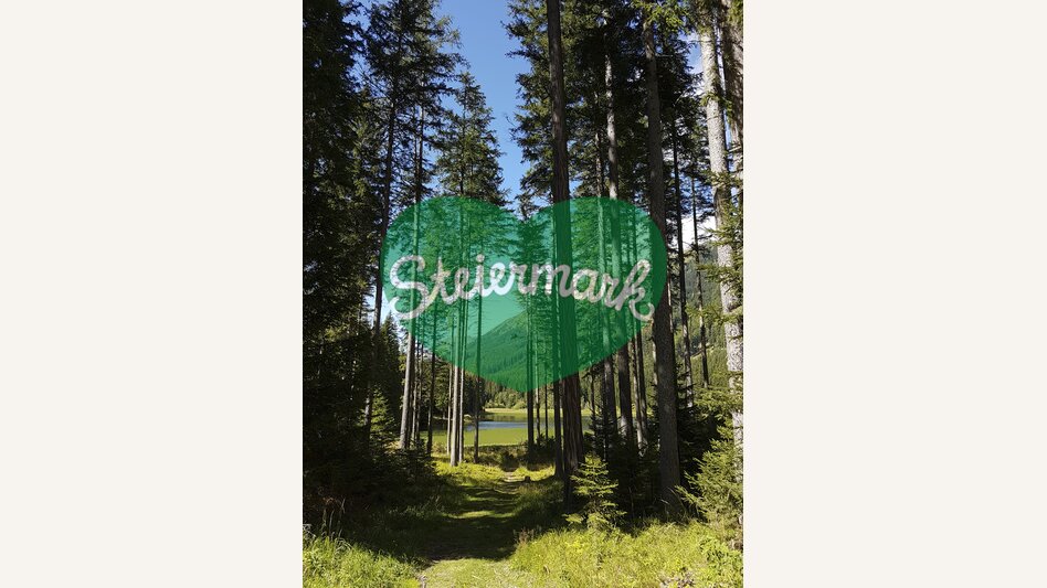 Am Ingeringsee, in der Gaal nahe Seckau | © STG | Veronika Jeitler-Trummer