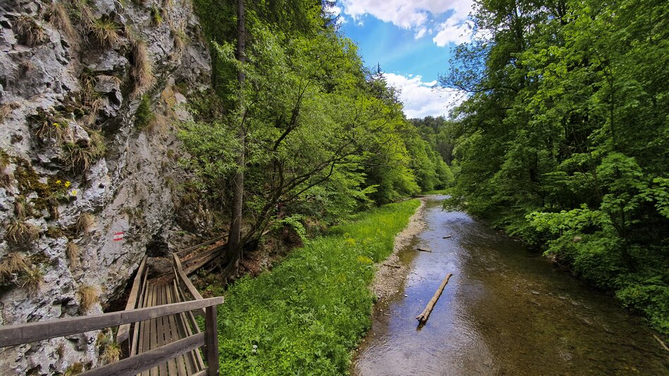 Raabklamm, the longest gorge in Austria | © Steiermark Tourismus | Günther Steininger
