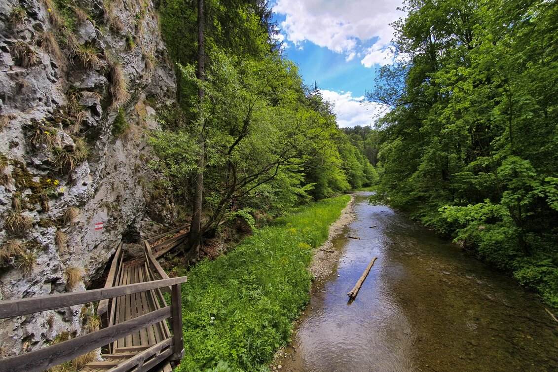Raabklamm, längste Klamm Österreichs | © STG | Günther Steininger