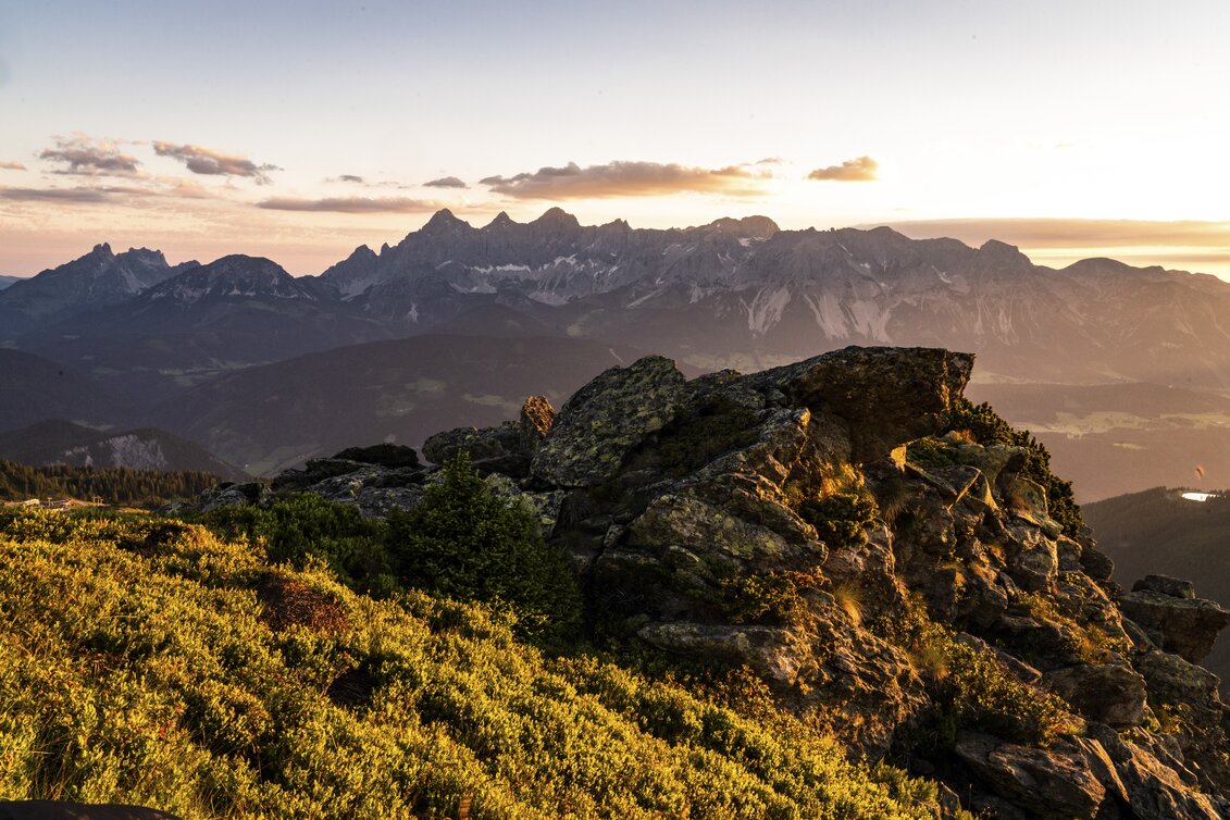 Auf der Reiteralm (Schober) | © STG | photo-austria.at