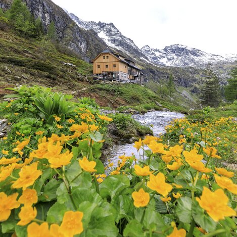 Gollinghütte: Bergfrühling in den Niederen Tauern | © STG | photo-austria.at