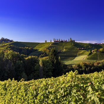 Südsteiermark | © STG | Harry Schiffer