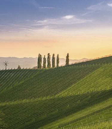 Südsteiermark | © STG | Wolfgang Jauk