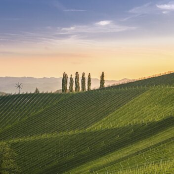Südsteiermark | © STG | Wolfgang Jauk