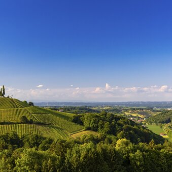 Südsteiermark | © STG | Harry Schiffer