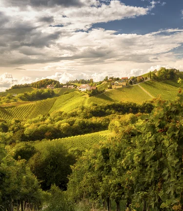 Southern Styria | © Steiermark Tourismus | Wolfgang Jauk
