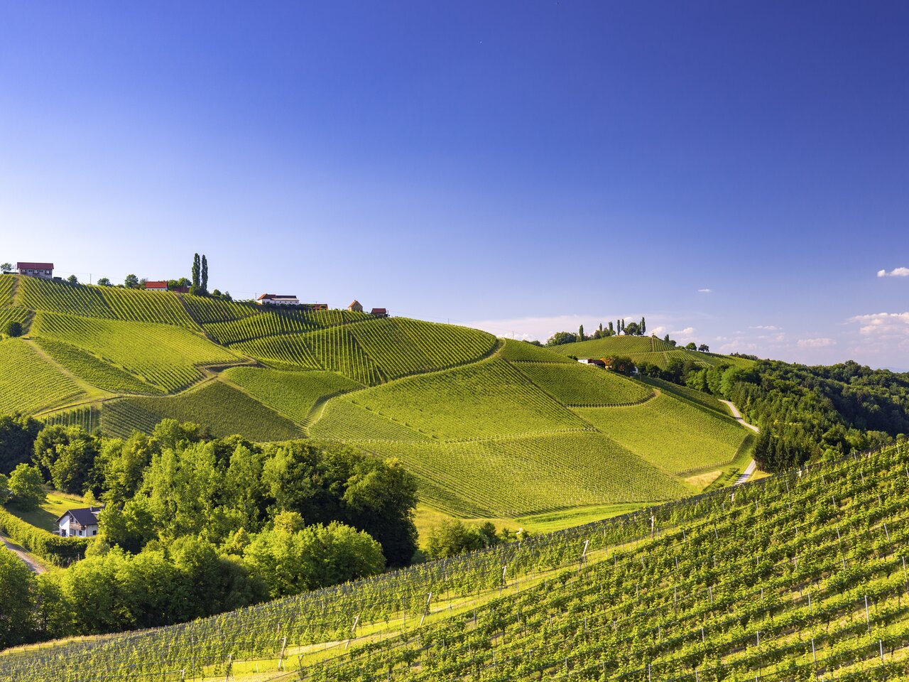 Southern Styria | © Steiermark Tourismus | Harry Schiffer