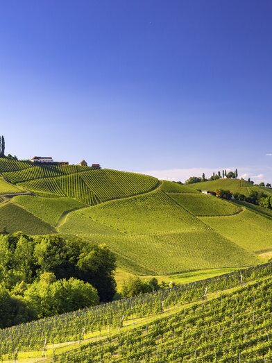 Southern Styria | © Steiermark Tourismus | Harry Schiffer