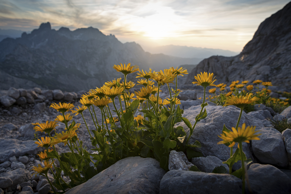At the Dachstein loop road | © Steiermark Tourismus | photo-austria.at