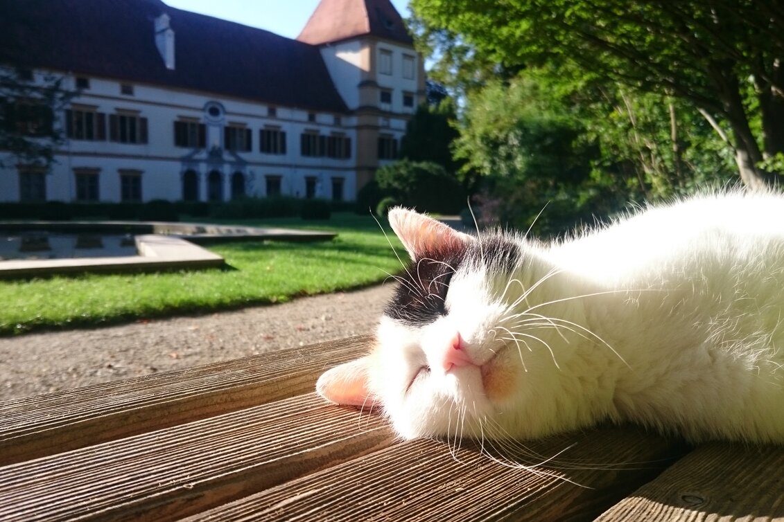 Erholungsort Park Schloss Eggenberg, Graz | © Universalmuseum Joanneum | Schloss Eggenberg | Nutzung nur in Verbindung mit dem Schloss Eggenberg