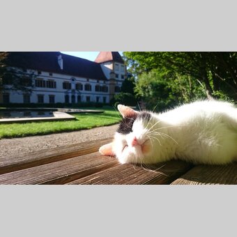 Erholungsort Park Schloss Eggenberg, Graz | © Universalmuseum Joanneum | Schloss Eggenberg | Nutzung nur in Verbindung mit dem Schloss Eggenberg