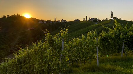 Südsteiermark: Wanderroute "Vom Gletscher zum Wein" (Etappe 24, Südroute) | © STG | Martina Traisch