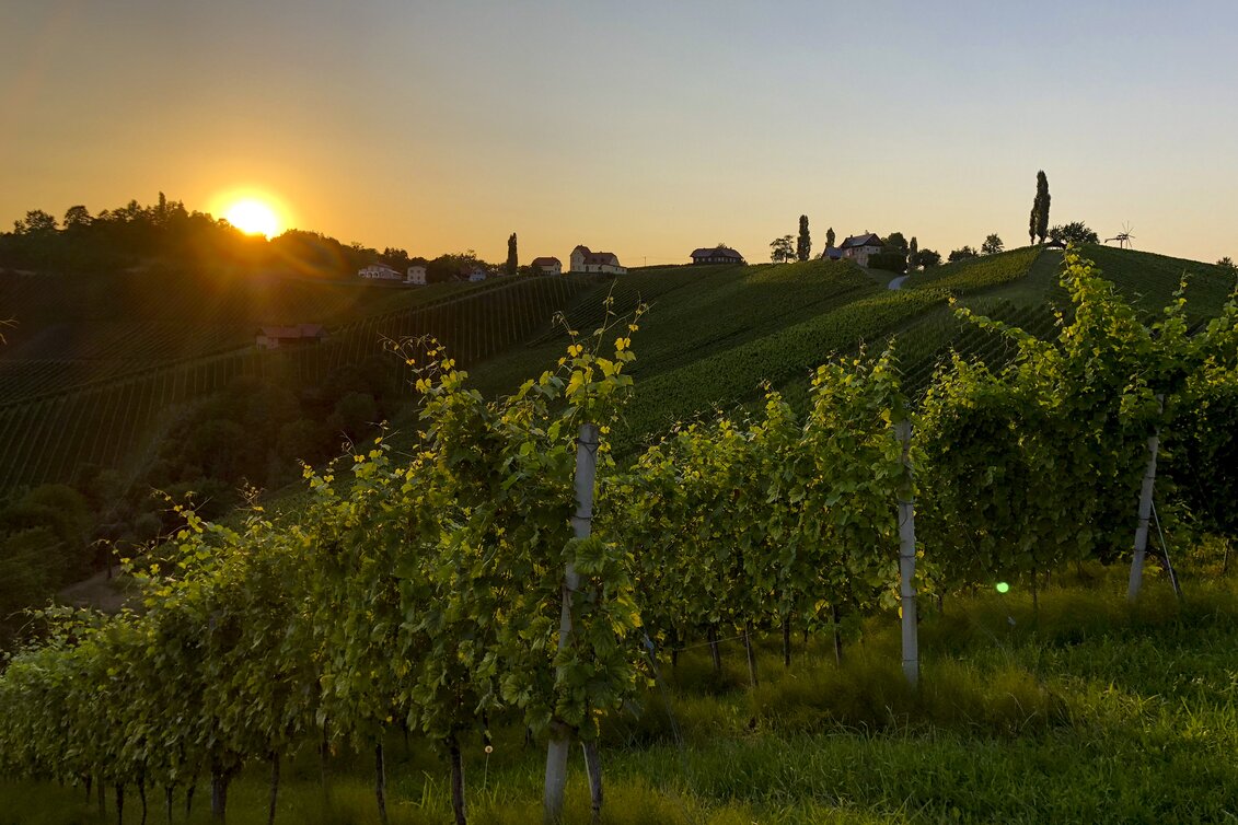 Südsteiermark: Wanderroute "Vom Gletscher zum Wein" (Etappe 24, Südroute) | © STG | Martina Traisch