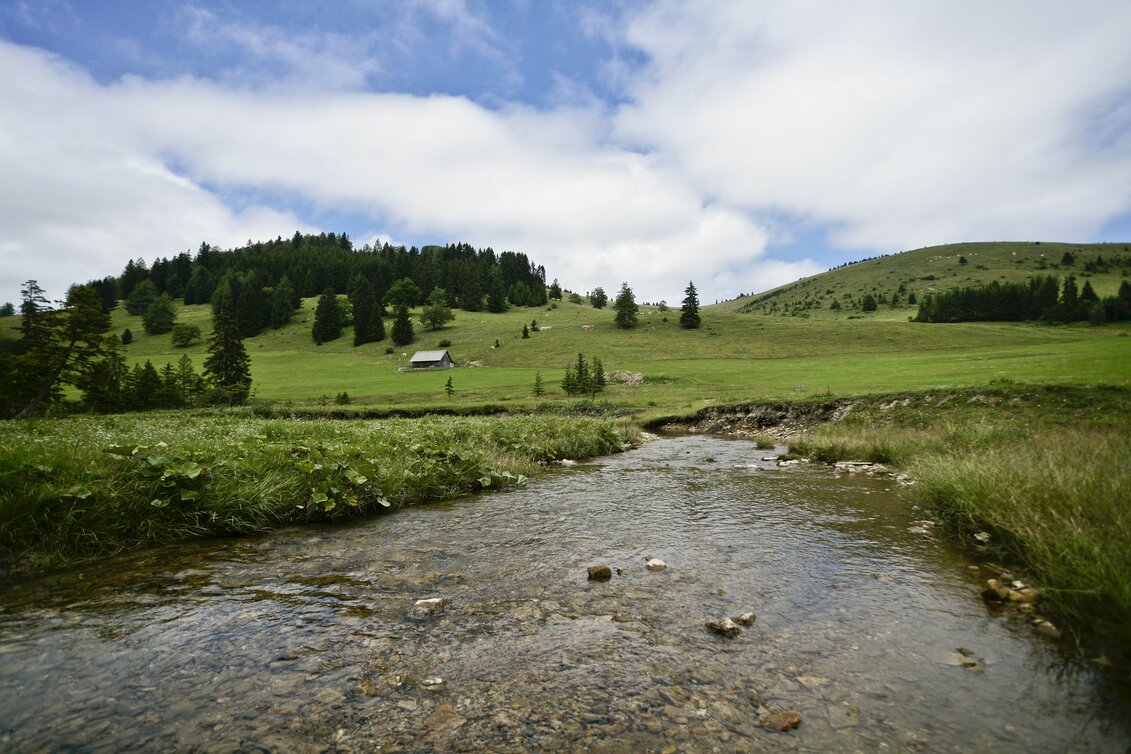Mariazeller Weg, Teichalm | © STG | Leo Himsl | ETZ-Pilgrimage Europe SI-AT