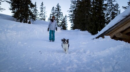 Urlaub mit Hund auf der Planneralm | © STG | Tom Lamm
