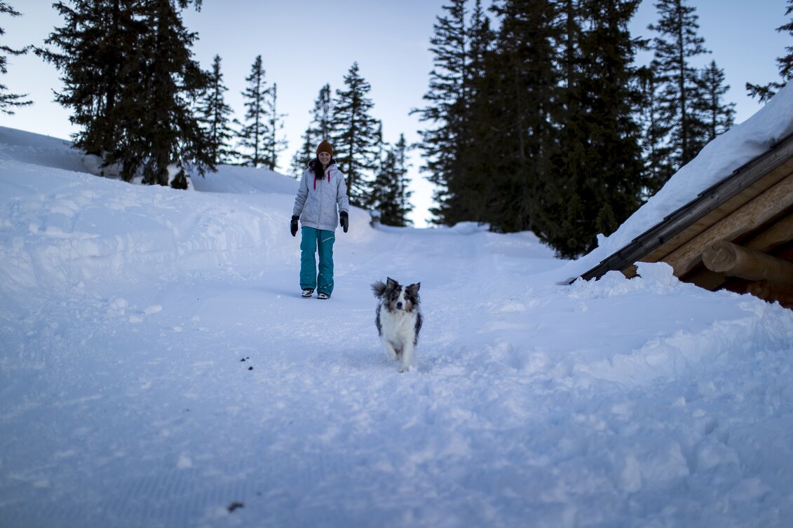 Urlaub mit Hund auf der Planneralm | © STG | Tom Lamm