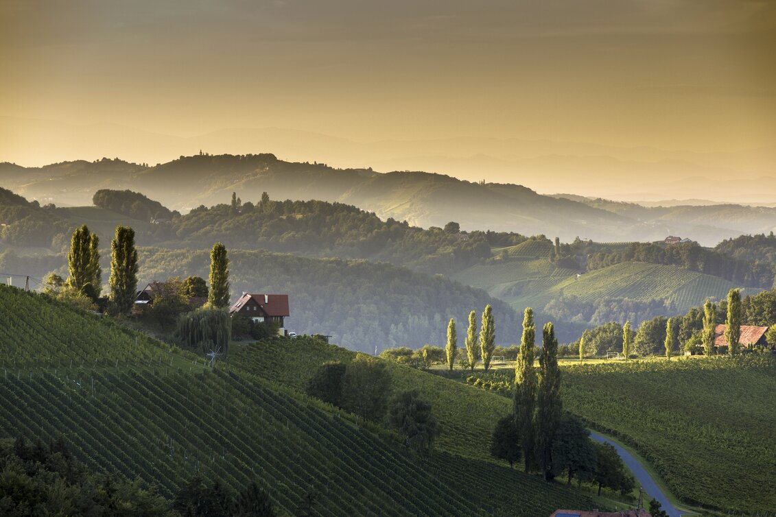 St. Veit in der Südsteiermark - Impression #1