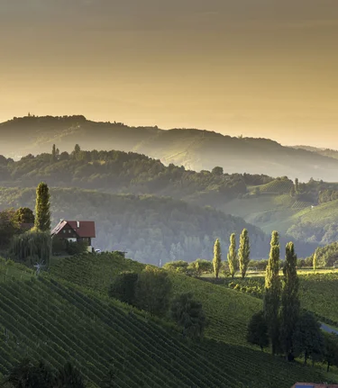 Southern Styria | © Steiermark Tourismus | Harry Schiffer