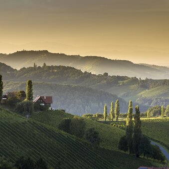 Southern Styria | © Steiermark Tourismus | Harry Schiffer