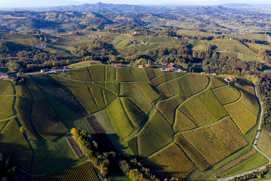 The Wine Cycle Tour, Gamlitz | © Steiermark Tourismus | Tom Lamm