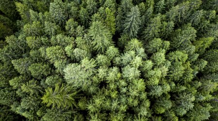 Die Steiermark - das Grüne Herz Österreichs | © STG | Tom Lamm