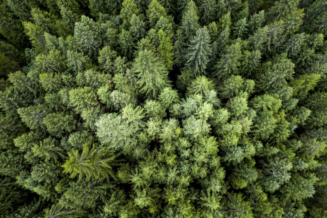 Die Steiermark - das Grüne Herz Österreichs | © STG | Tom Lamm