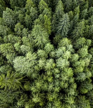 Die Steiermark - das Grüne Herz Österreichs | © STG | Tom Lamm