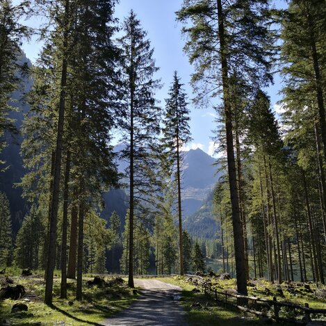 Im Naturpark Sölktäler | © STG | Martina Haselwander