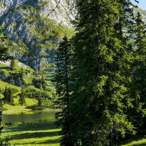 Blick zum Sackwiesensee am HochschwabAC | © STG | Manfred Polansky