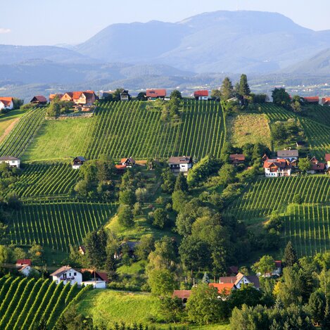 Schilcherweinstraße | © STG | Harry Schiffer