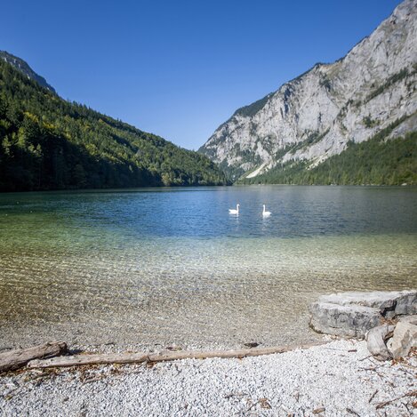 Leopoldsteinersee bei Eisenerz | © STG | Tom Lamm