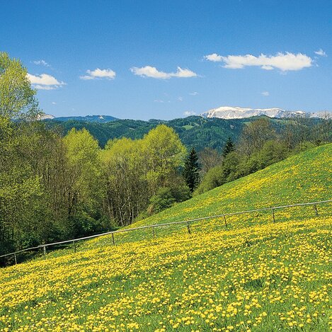 Alpl | © STG | Hans Wiesenhofer