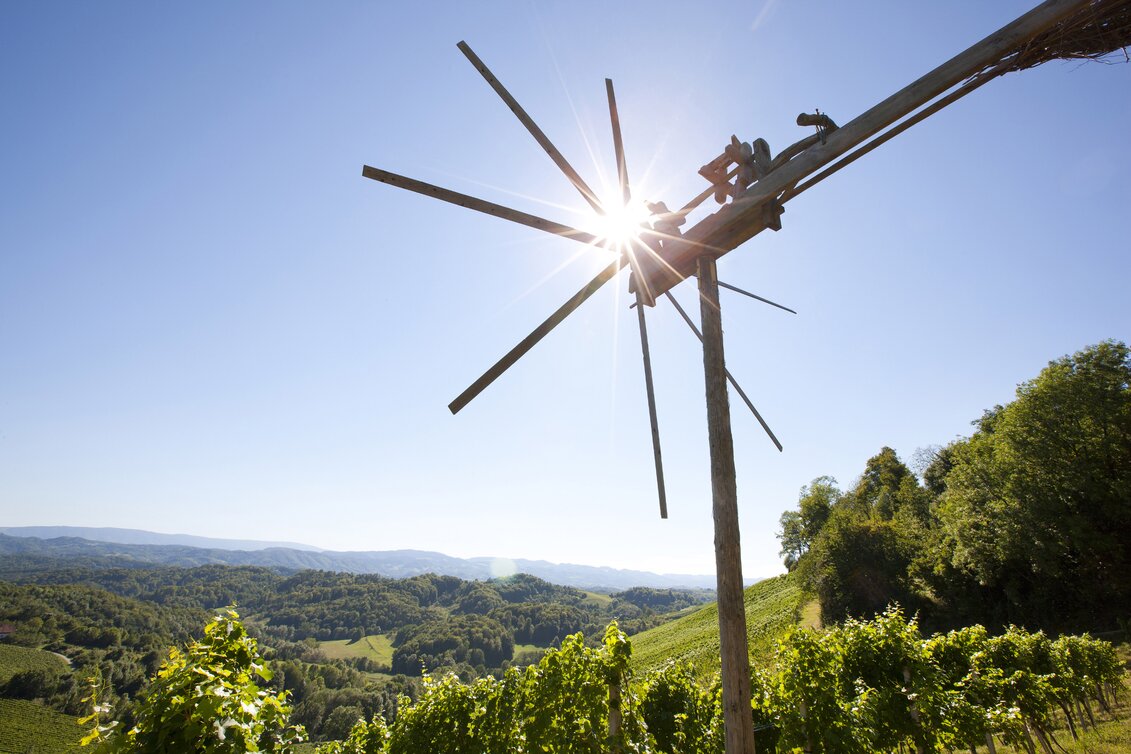 PackageSummer in Southern Styria - Wine and recreation