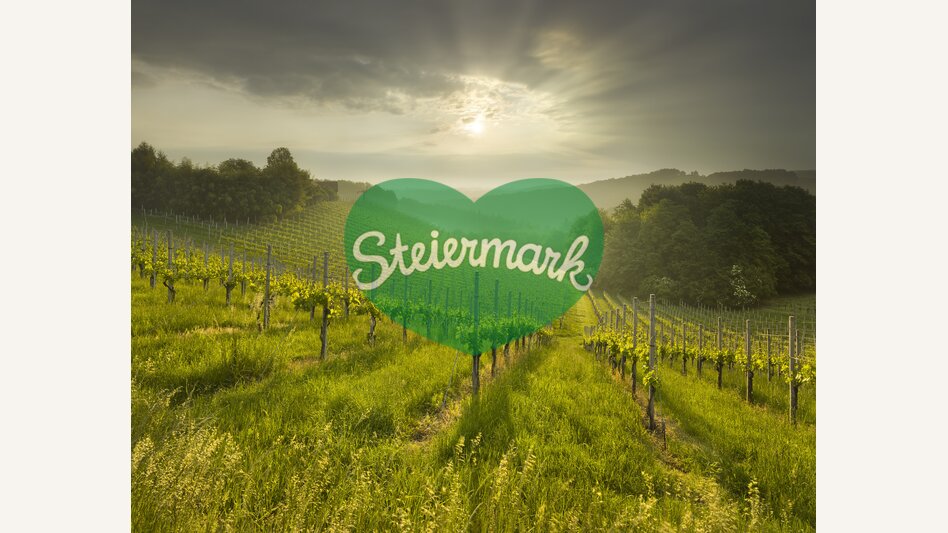 Südsteirische Weinstraße, nahe Ratsch | © STG | Rainer Mirau