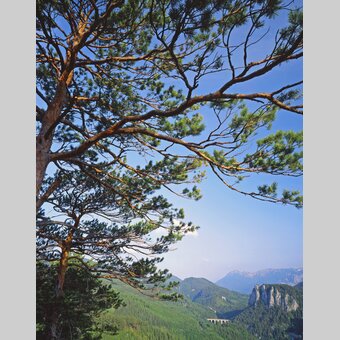 UNESCO Weltkulturerbe Semmeringbahn | © STG | Popp-Hackner