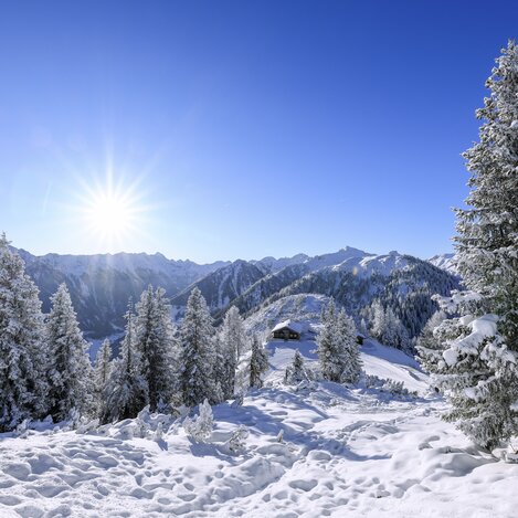 Blick auf die Hochwurzenalm mit Schladminger Tauern | © STG | photo-austria.at
