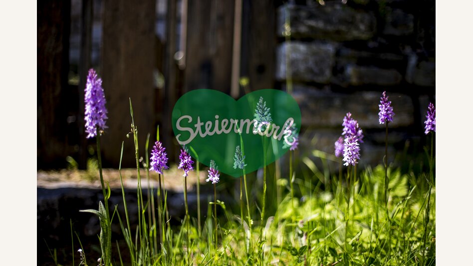 Frühlingsstimmung im Naturpark Mürzer Oberland | © TV Hochsteiermark | Tom Lamm