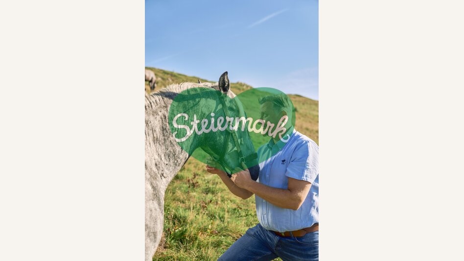 Lipizzaner auf der Sommerweide | © TV Region Graz | Robert Maybach