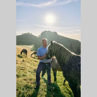 Lipizzaner auf der Sommerweide | © TV Region Graz | Robert Maybach